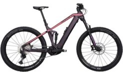 Bulls Sonic EVA 500 E-Mountainbike
