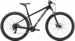 Specialized Rockhopper 29 Race Mountainbike