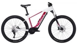 Bulls E-Stream EVA 1 E-Mountainbike