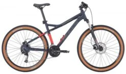 Bulls Sharptail 3 Disc 29 Race Mountainbike