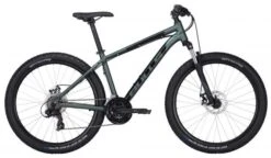 Bulls Wildtail 1 Disc 29 Race Mountainbike